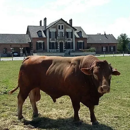 La Ferme Du Rit Des Leups Hébergement de vacances Rocquigny (Ardennes)